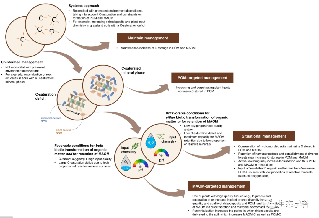 NatureCommunications最新综述土壤碳固存的复杂性：矿物结合有机物颗粒有机物(图2)
