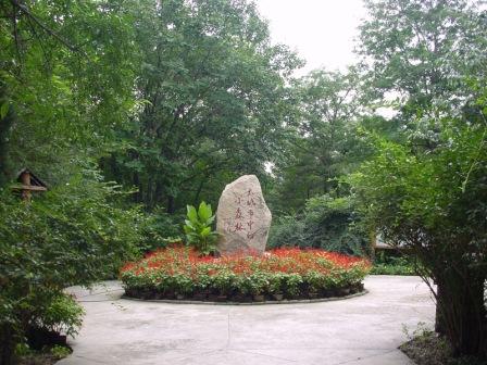 树木园-"大城市中的小森林"